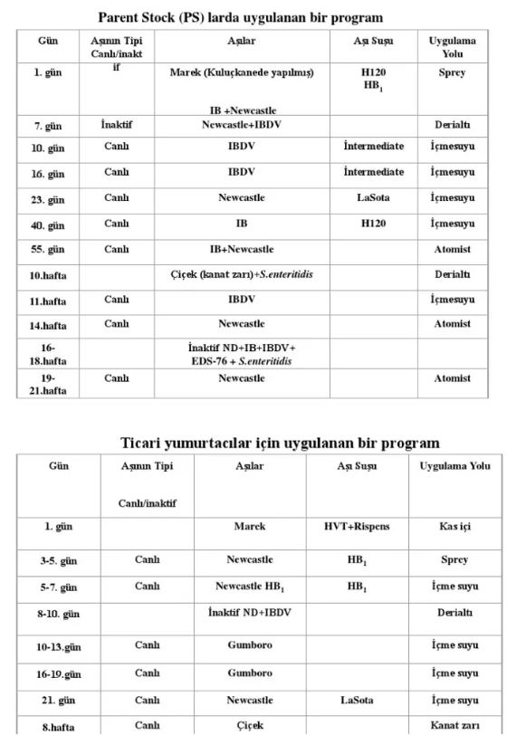 kuluckaciniz.com kuluçkalık yumurta ve civciv