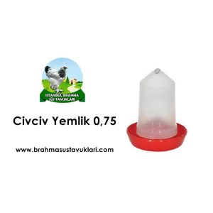 Civciv Yemlik