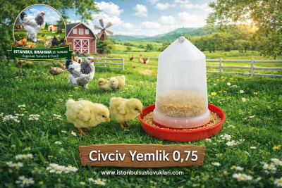 Civciv Yemlik 0,75