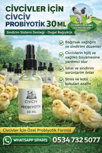 Diazyme 256 Probiyotik 80 Gr