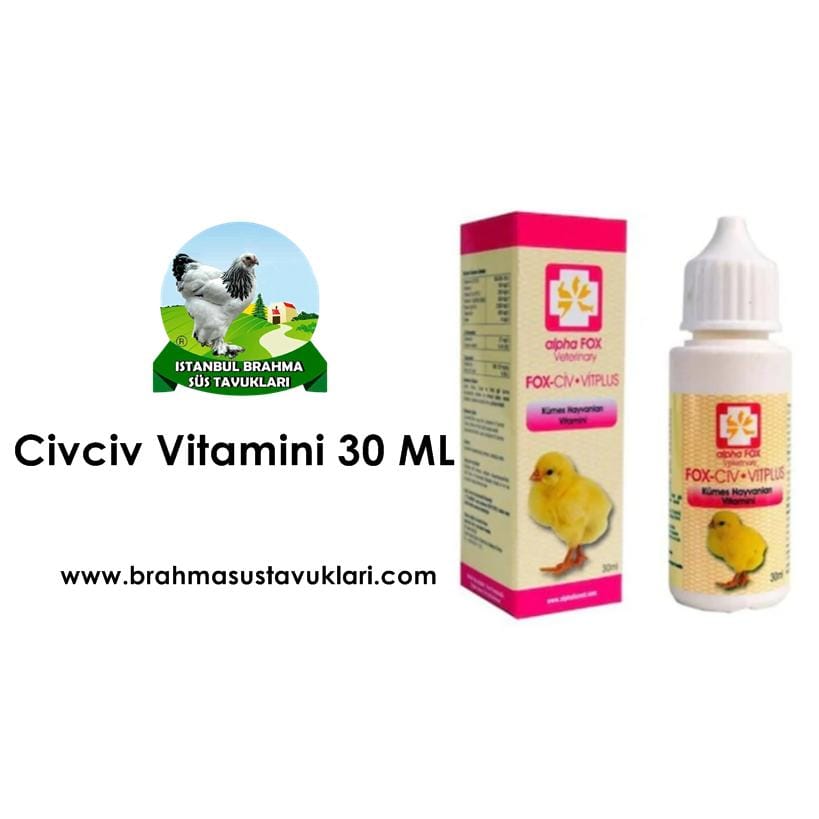 civciv vitamini 30ml