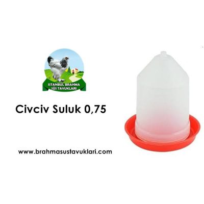 civciv suluk