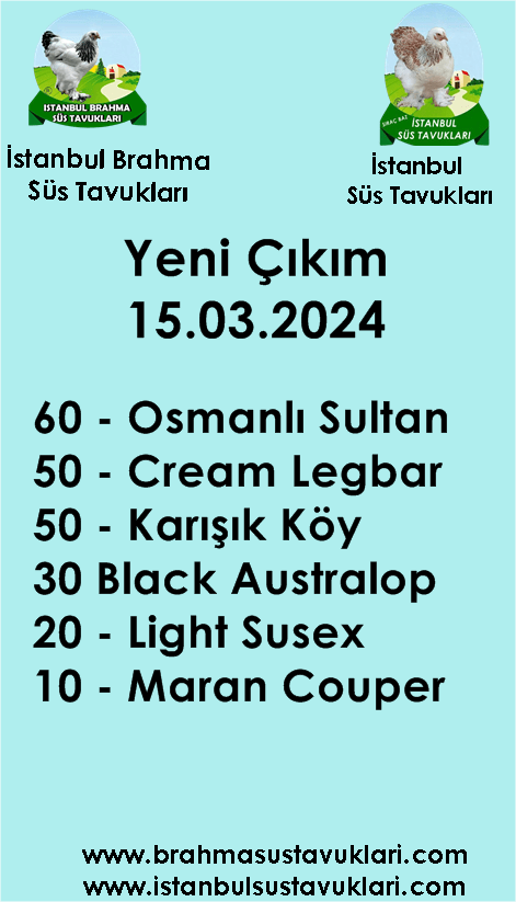Kuluckaciniz.com Kuluçkalık Yumurta Ve Civciv İstanbul