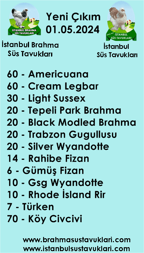 Kuluckaciniz.com Kuluçkalık Yumurta Ve Civciv İstanbul