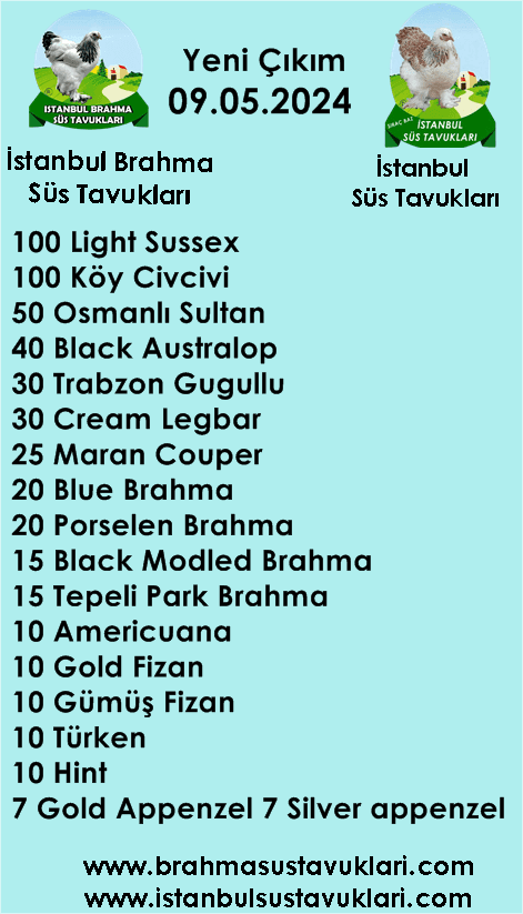 Kuluckaciniz.com Kuluçkalık Yumurta Ve Civciv İstanbul