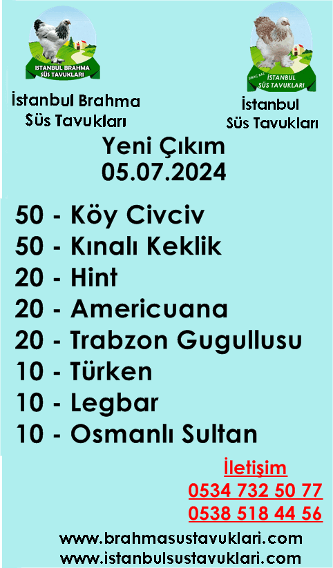 Kuluckaciniz.com Kuluçkalık Yumurta Ve Civciv İstanbul