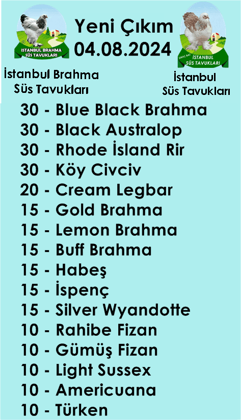 Kuluckaciniz.com Kuluçkalık Yumurta Ve Civciv İstanbul