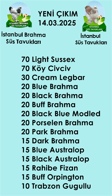 Kuluckaciniz.com Kuluçkalık Yumurta Ve Civciv İstanbul