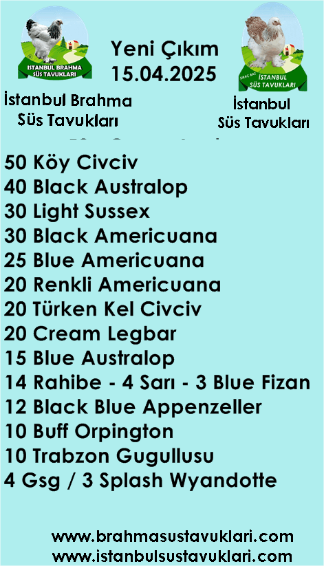 Kuluckaciniz.com Kuluçkalık Yumurta Ve Civciv İstanbul