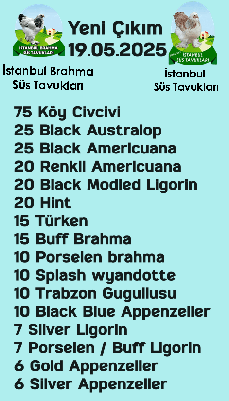 Kuluckaciniz.com Kuluçkalık Yumurta Ve Civciv İstanbul