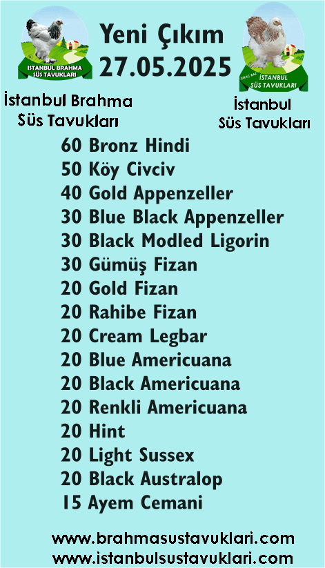 Kuluckaciniz.com Kuluçkalık Yumurta Ve Civciv İstanbul