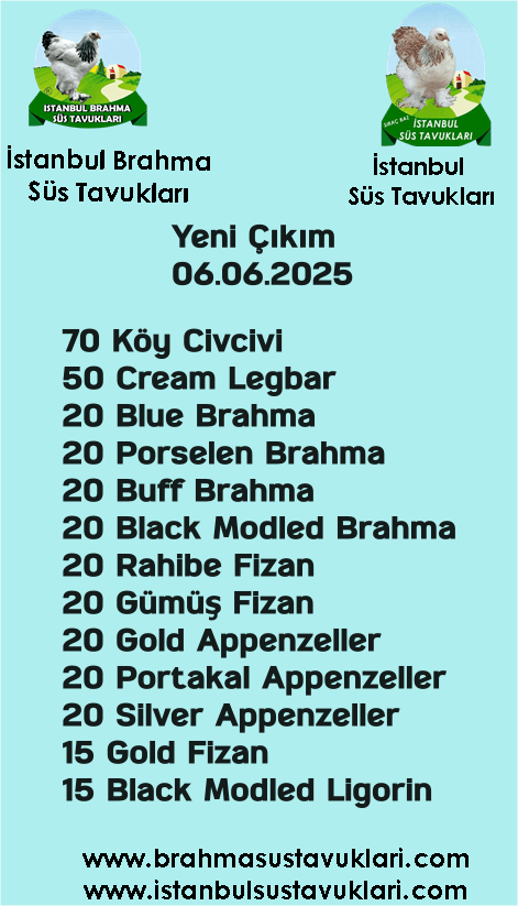 Kuluckaciniz.com Kuluçkalık Yumurta Ve Civciv İstanbul