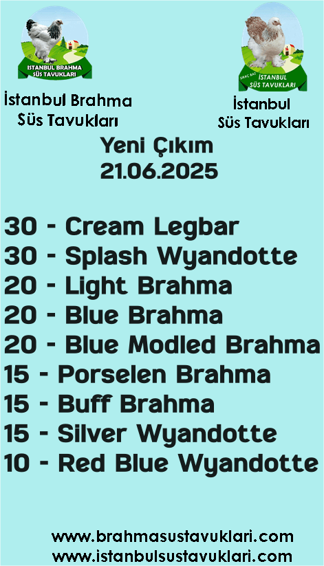 Kuluckaciniz.com Kuluçkalık Yumurta Ve Civciv İstanbul