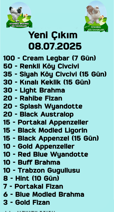 Kuluckaciniz.com Kuluçkalık Yumurta Ve Civciv İstanbul