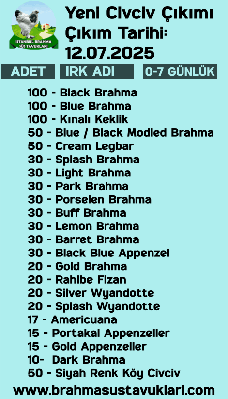 Kuluckaciniz.com Kuluçkalık Yumurta Ve Civciv İstanbul