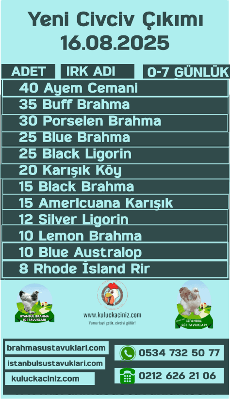 Kuluckaciniz.com Kuluçkalık Yumurta Ve Civciv İstanbul