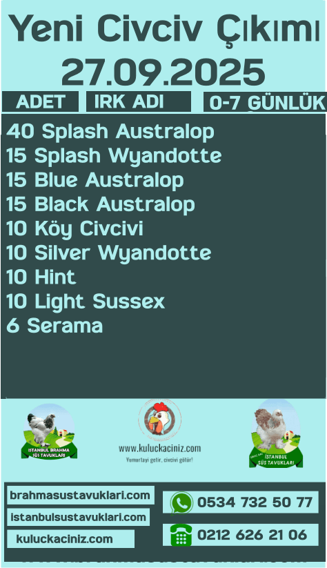 Kuluckaciniz.com Kuluçkalık Yumurta Ve Civciv İstanbul