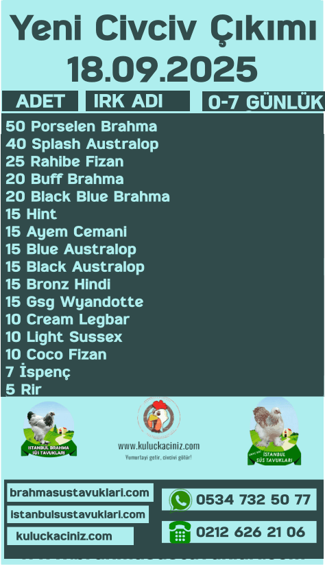 Kuluckaciniz.com Kuluçkalık Yumurta Ve Civciv İstanbul