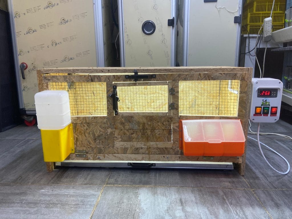 Civciv Büyütme Kafesi