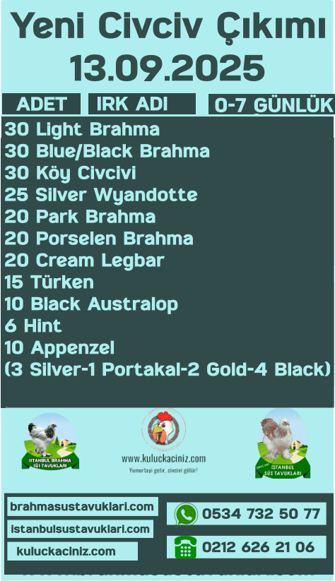 Kuluckaciniz.com Kuluçkalık Yumurta Ve Civciv İstanbul