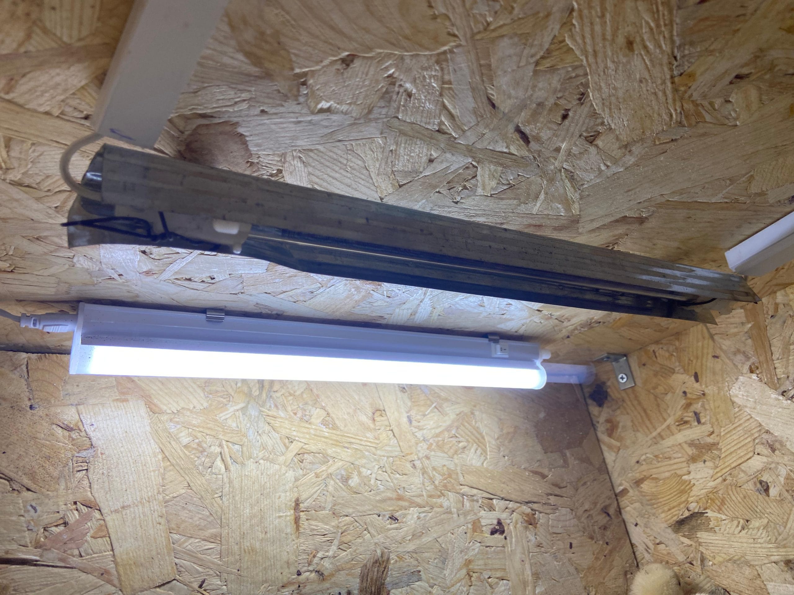 Civciv Büyütme Kafesi ANAKUCAĞI