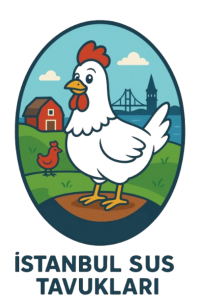 İstanbul Kuluçkalık Yumurta & civciv satışı