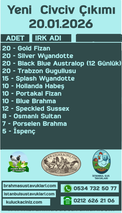 Kuluçkalık Yumurta