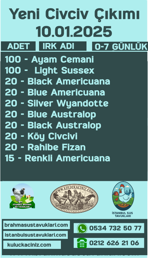 Kuluçkalık Yumurta